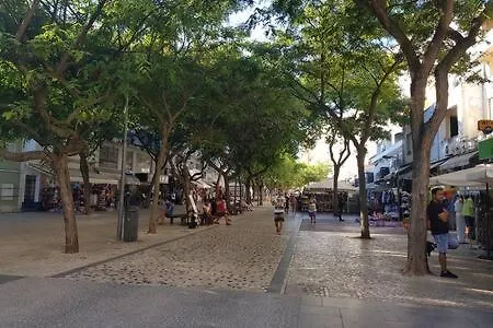 Daire Cosy And Sweet In Albufeira